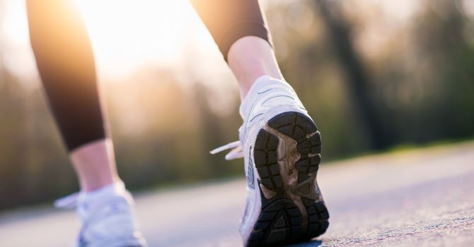 Chiropractic & Therapeutic Exercise